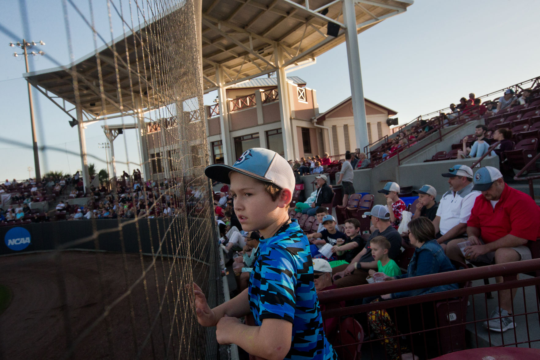 MLB baseball netting.JPG